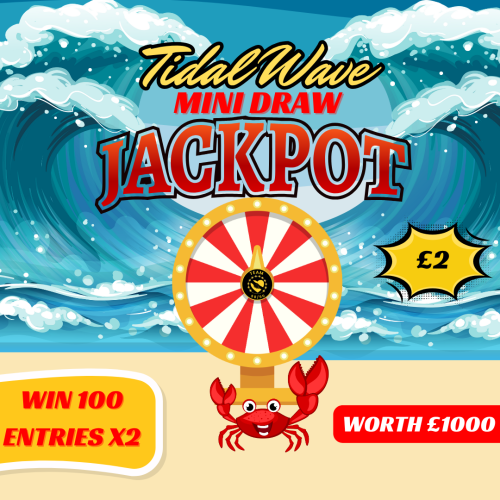 Mini Draw - Tidal Wave 100 entries (x 2)