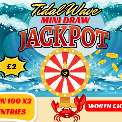 Mini Draw - Tidal Wave 100 entries (x 2)